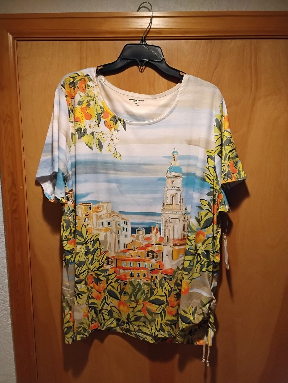 NWT 3X Allison Daley Multi-Colored Scenic Top W/Bling Firm Price